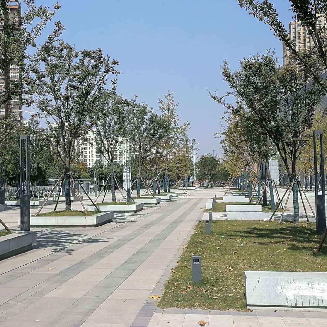 Shade Of The Municipal Square Citizen Square By Li Junfeng 1