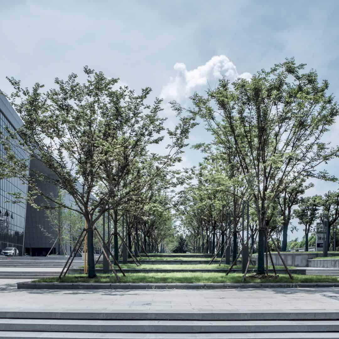 Shade Of The Municipal Square Citizen Square By Li Junfeng 4