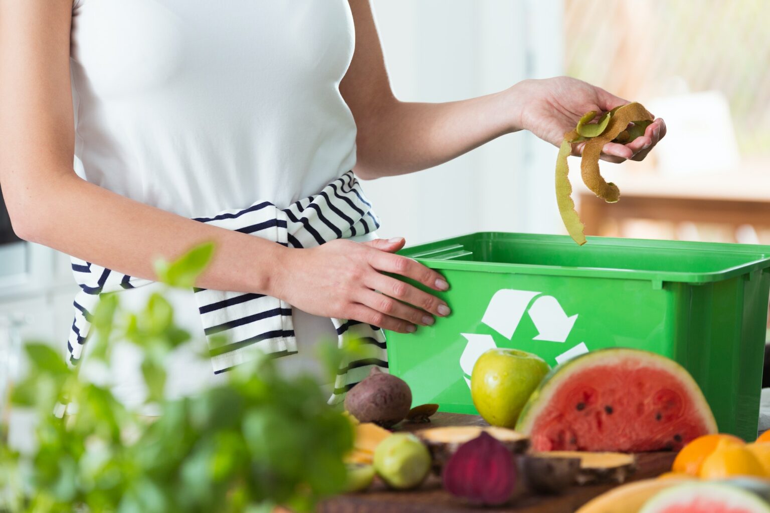 how-to-organize-your-kitchen-waste-system