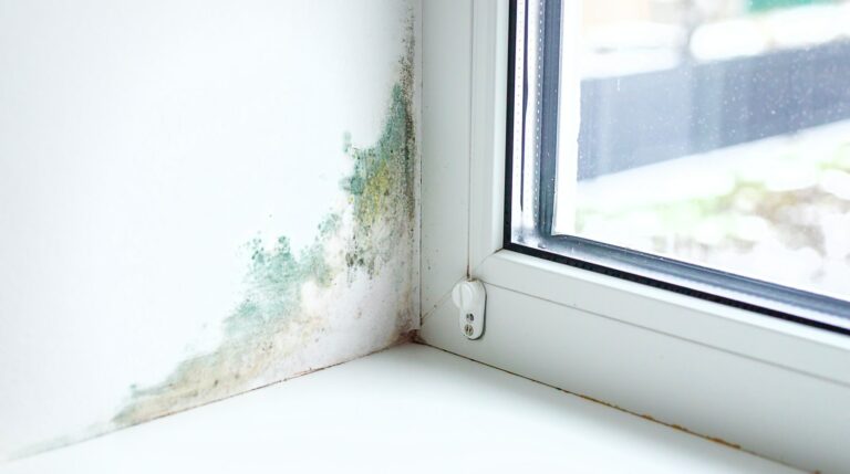 3-tips-for-measuring-moisture-levels-in-walls