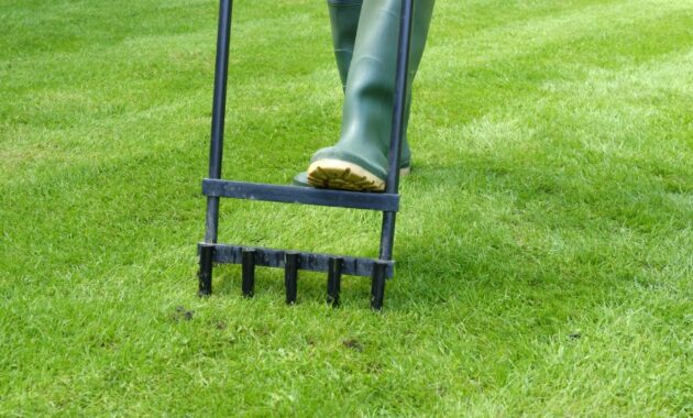 5 Telling Signs You Need To Aerate Your Lawn