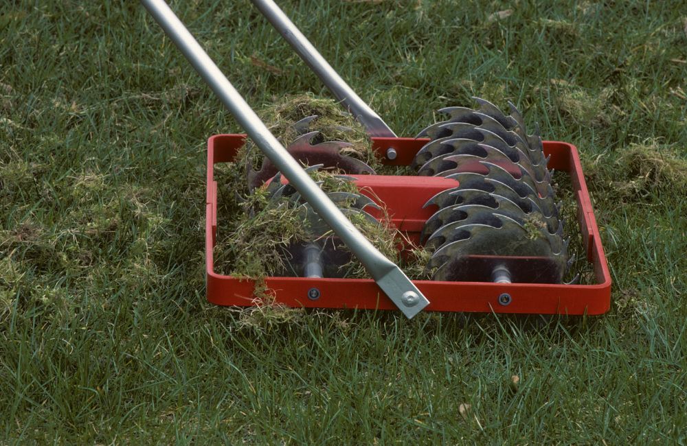 5 Telling Signs You Need To Aerate Your Lawn