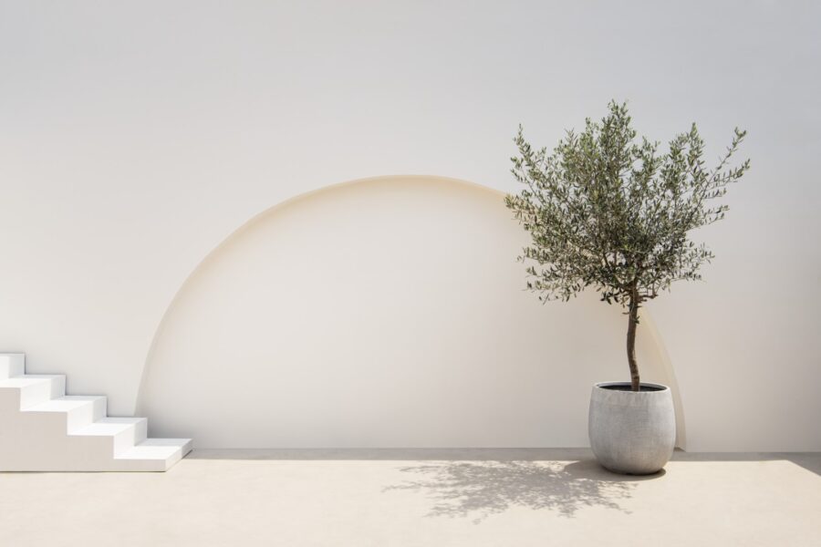 Mediterranean Minimal Wall And Plant Exterior Arch 2022 12 16 01 15 06 Utc