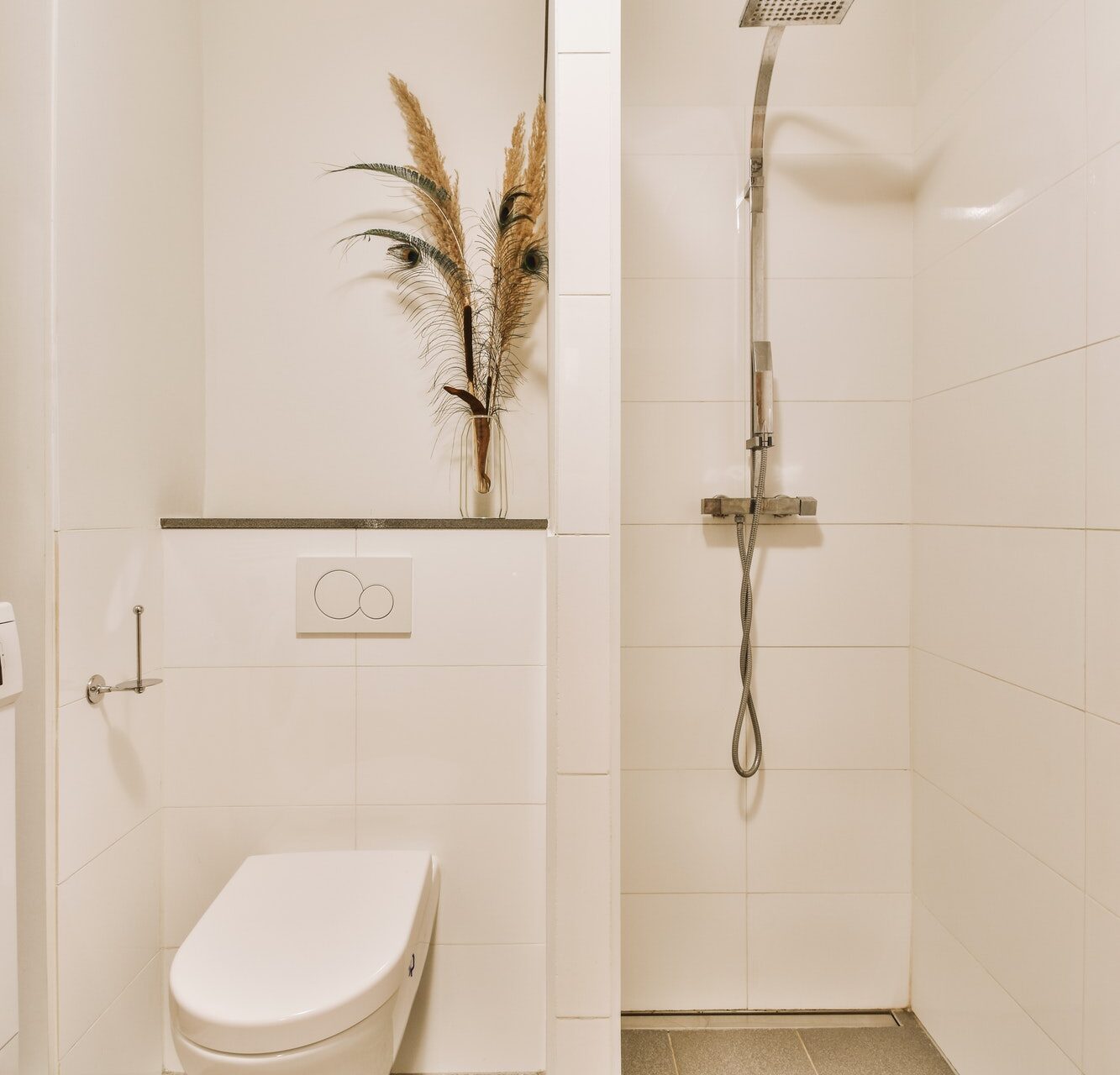 Toilet and shower in bathroom