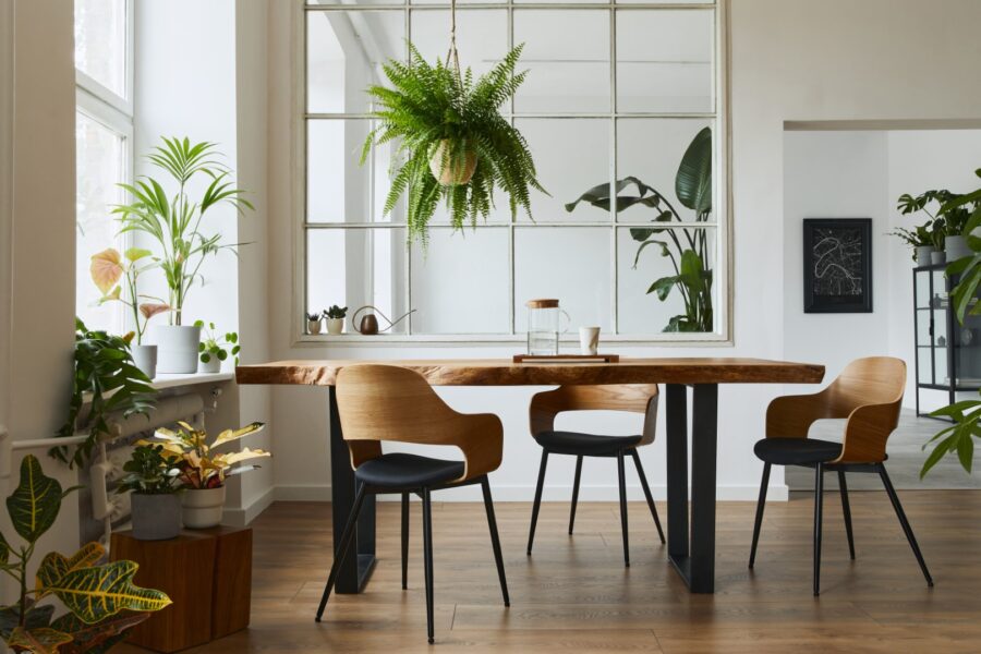 Stylish And Botany Interior Of Dining Room 2023 11 27 05 32 08 Utc