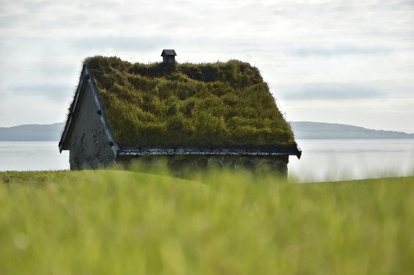 An Example Of A Green Roof