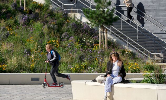 Nature Meets Mobility Ede Wageningen Train Station Redefines Sustainable Transport Hubs 9