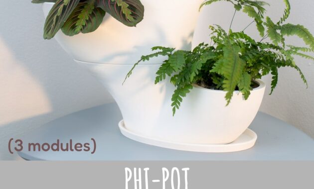 PHI POT System 5