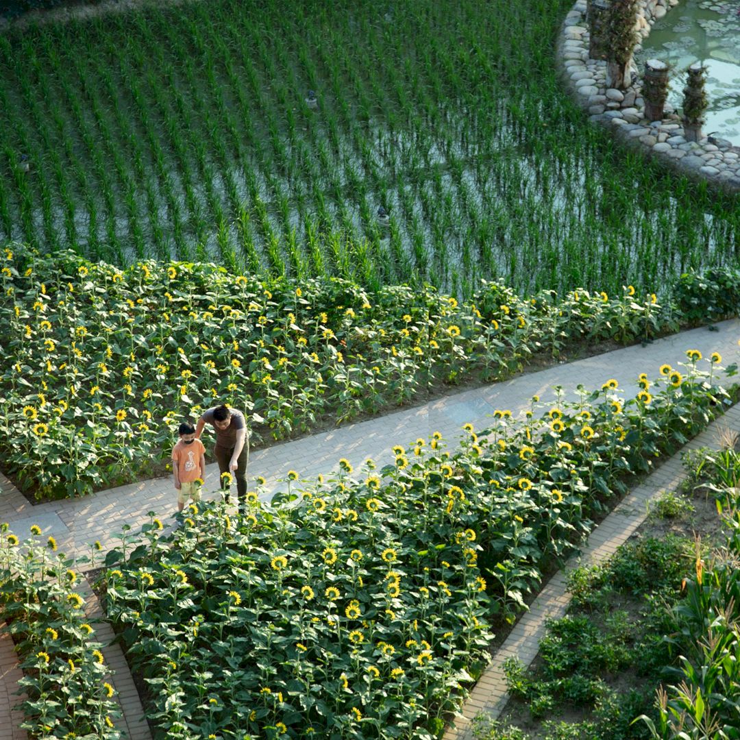 Yuanye Spring Urban Farm By Vicky Chan 2