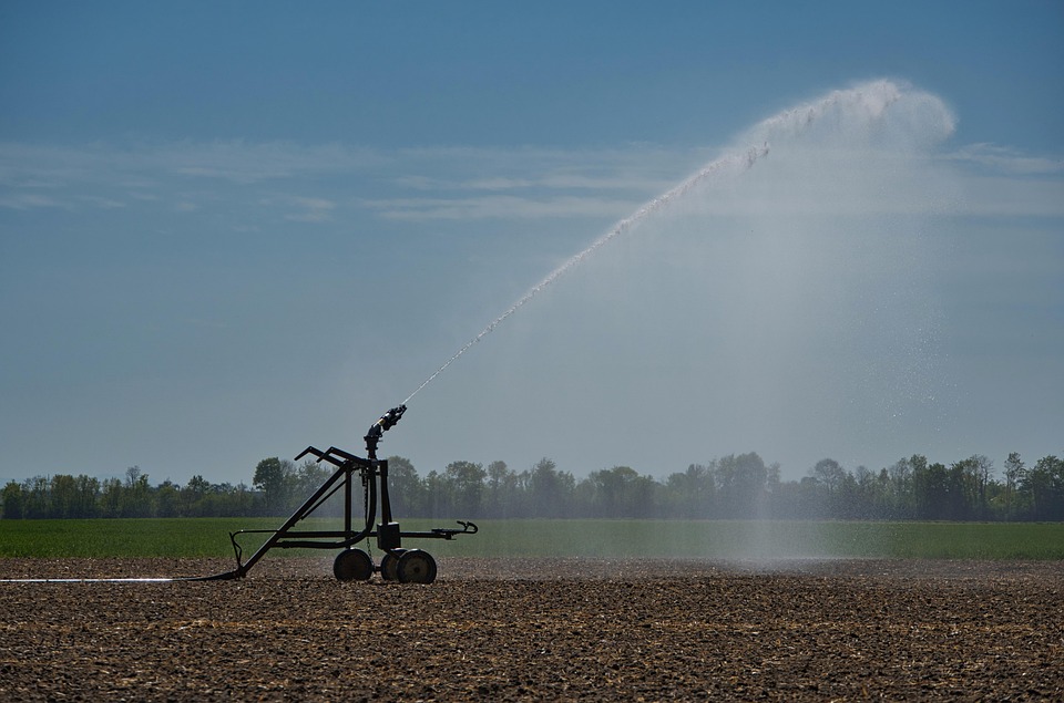 Revolutionize Your Garden: Discover the Smart Irrigation System That Saves You Time and Water!